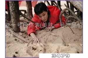 美肤一号价格表「美肤一号产品价格一览」