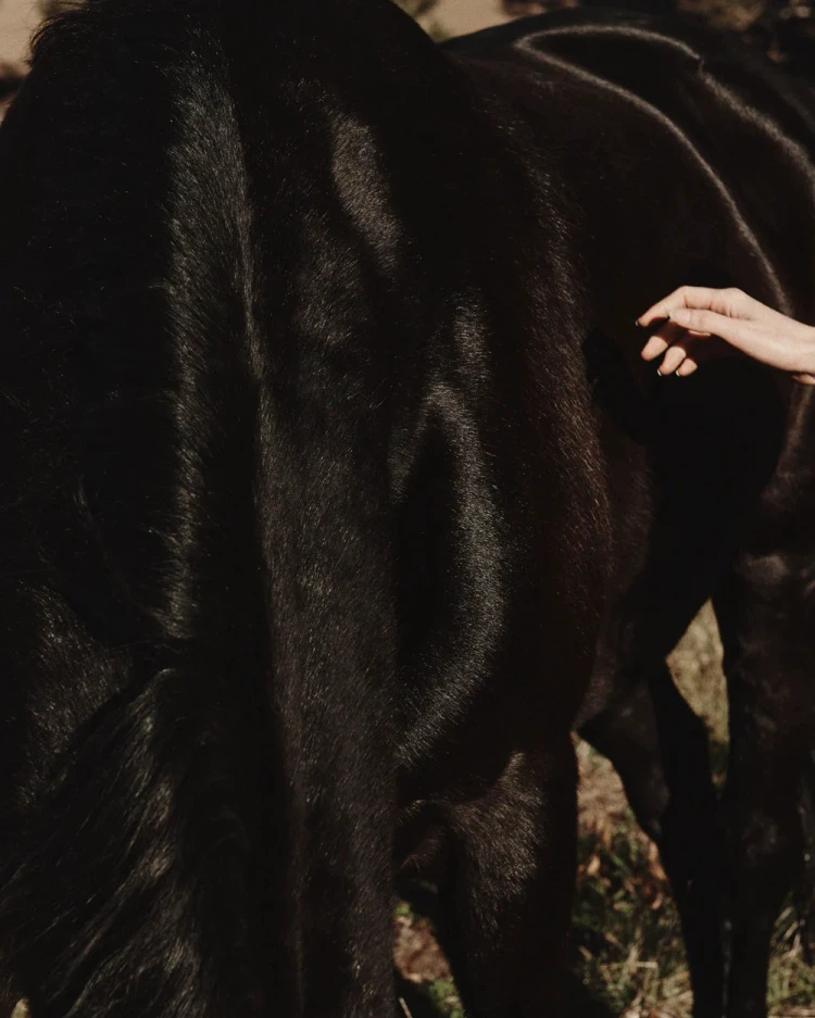 Bareback Kolido for women and men Aussie Australia perfume EDP