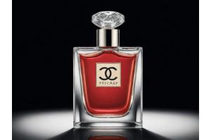 香奈儿女士香水臻选，邂逅芬芳之约